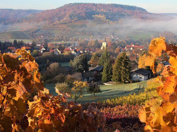 Herbstfärbung in Untersteinbach - Metzger, Elke