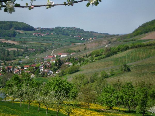 Das Steinbacher Tal am 1. Mai - Bender, Manfred