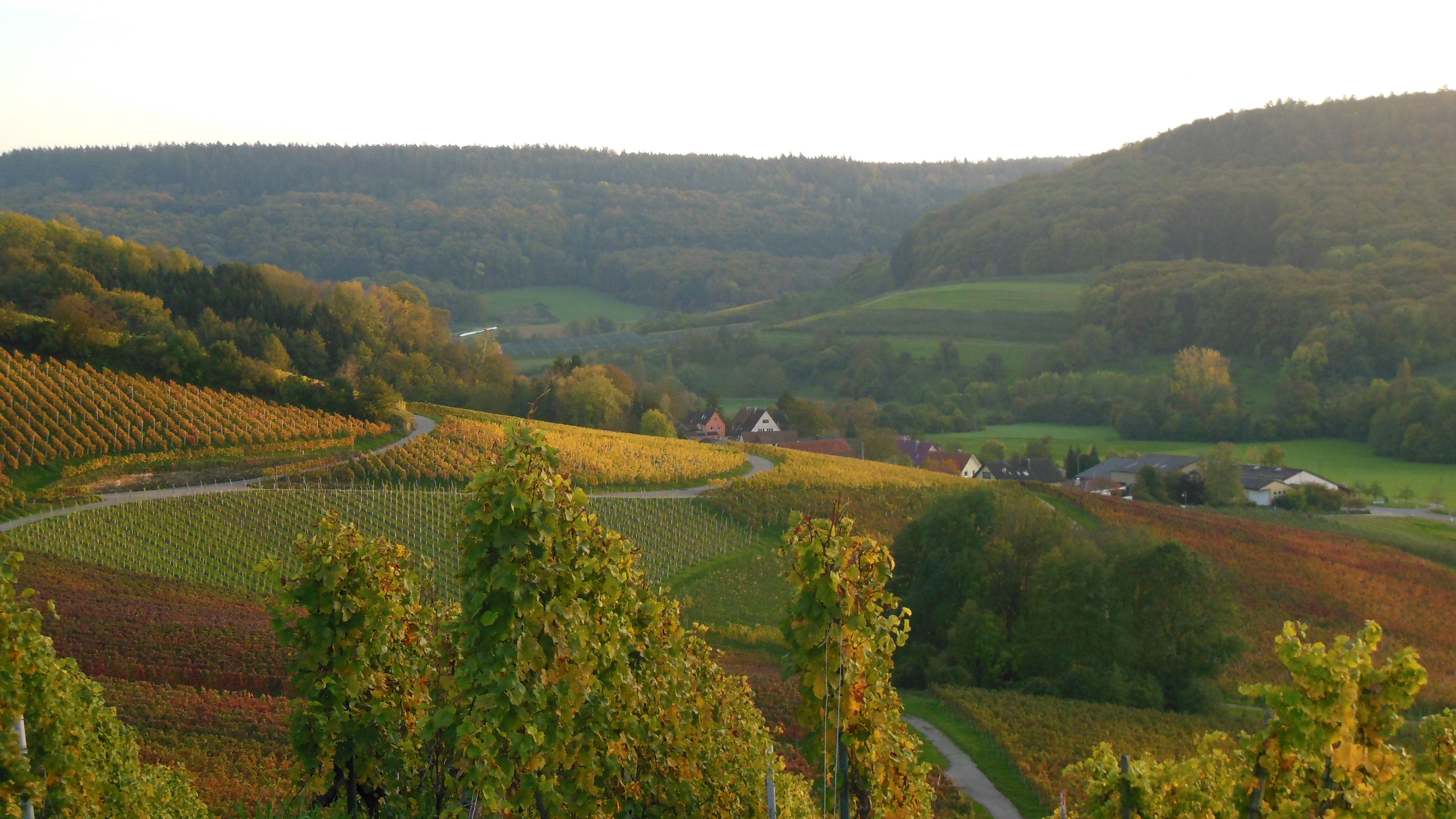  Foto: Landschaftsbild der Gemeinde Pfedelbach 