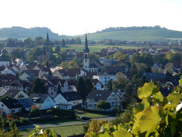Blick vom Weinberg auf Pfedelbach  - Raju, Margret