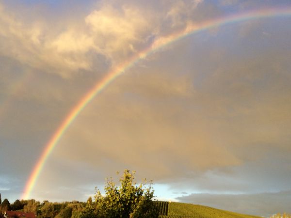 Regenbogen über dem Nonnenberg Pfedelbach - Mickler, Marlise